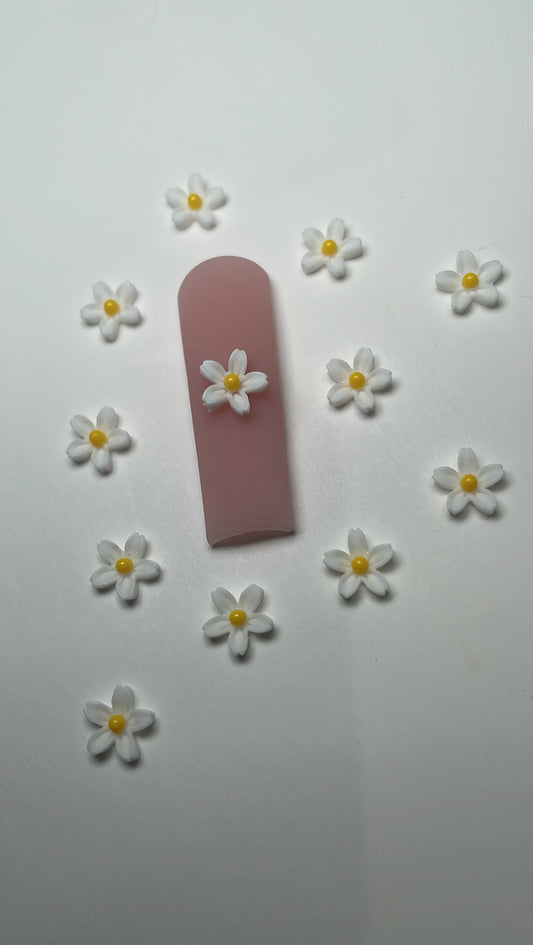 White and yellow flowers [12pcs]