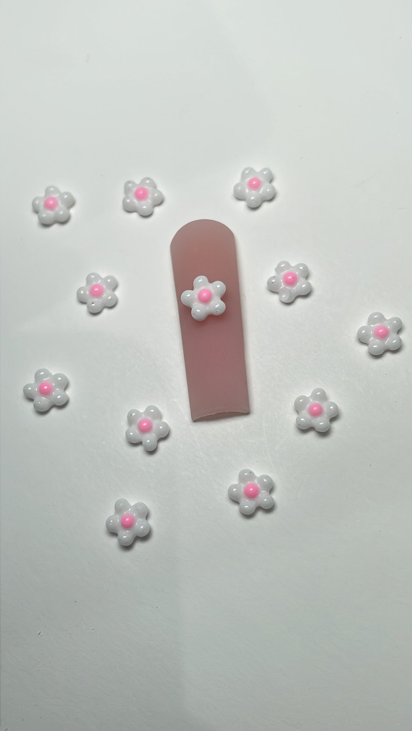 Pink and white flowers [12pcs]